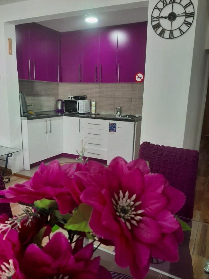 Family Apartment Near Old Town Mostar Dış mekan fotoğraf